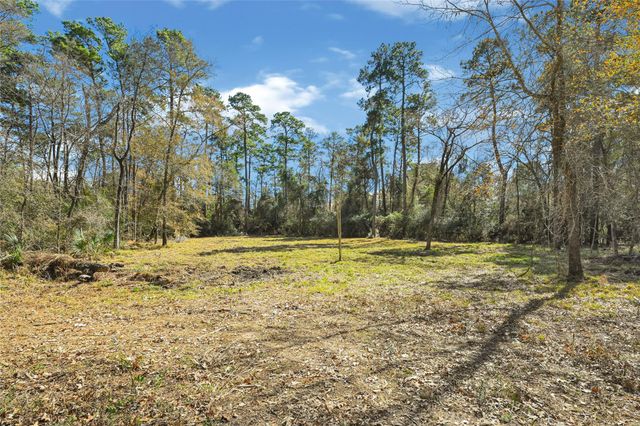 1522 Woodhue Drive, Spring, TX 77386