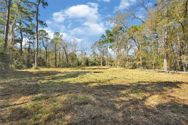 1522 Woodhue Drive, Spring, TX 77386