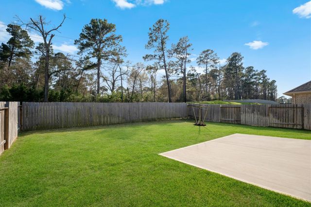 992 Youth Water Road, Montgomery, TX 77316