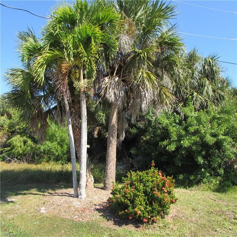 4026 Stringfellow RD, ST. JAMES CITY, FL 33956 — photo 5