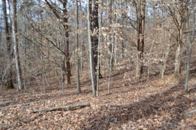 0 Boles Road, Hilham, TN 38568