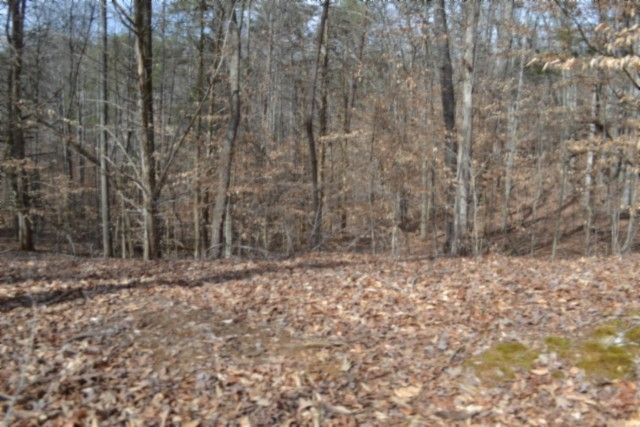 0 Boles Road, Hilham, TN 38568