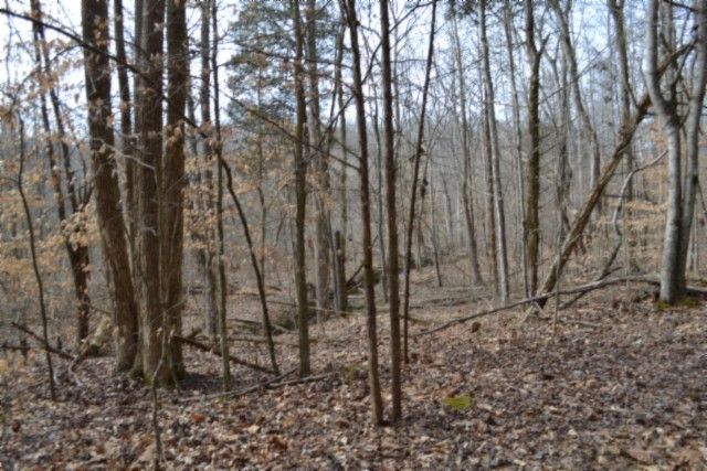 0 Boles Road, Hilham, TN 38568