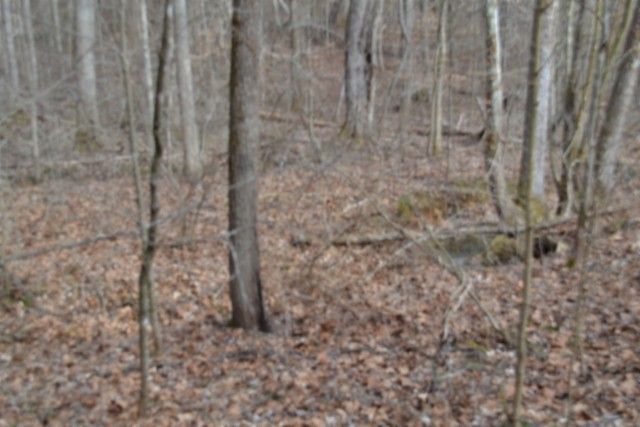 0 Boles Road, Hilham, TN 38568