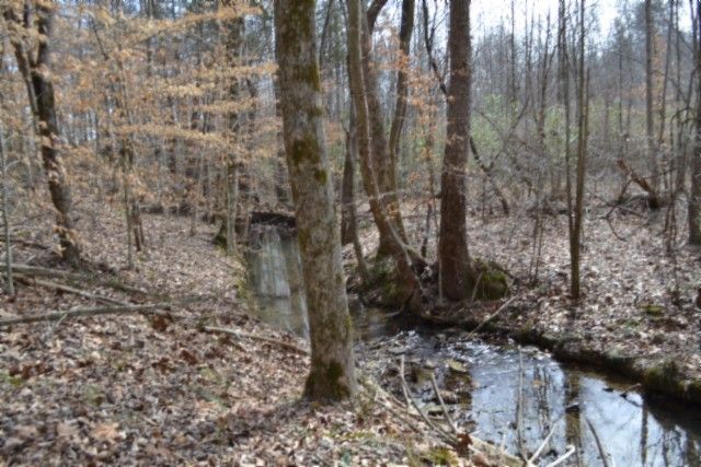 0 Boles Road, Hilham, TN 38568