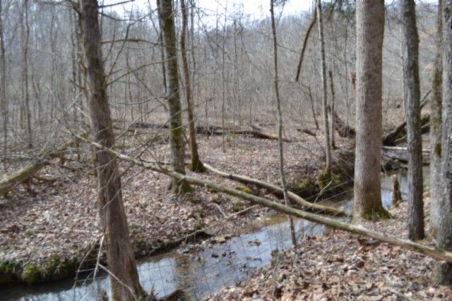 0 Boles Road, Hilham, TN 38568