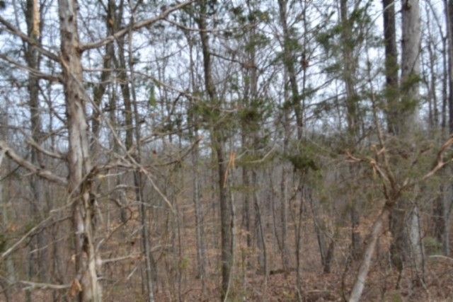 0 Boles Road, Hilham, TN 38568