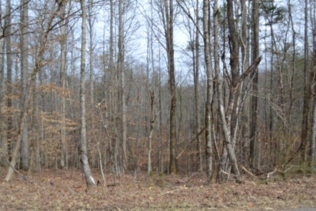 0 Boles Road, Hilham, TN 38568