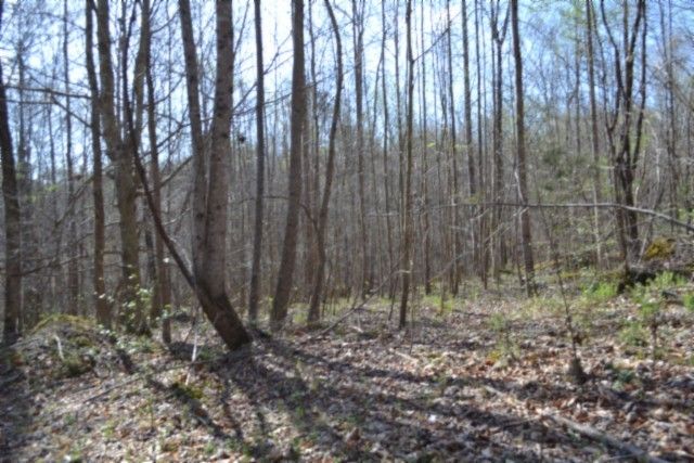 0 Boles Road, Hilham, TN 38568