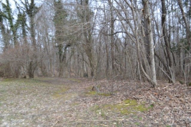 0 Boles Road, Hilham, TN 38568