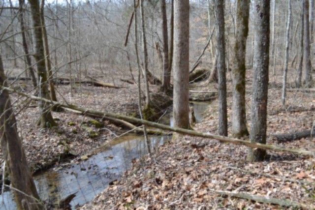 0 Boles Road, Hilham, TN 38568