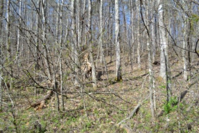 0 Boles Road, Hilham, TN 38568