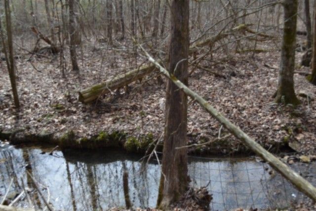 0 Boles Road, Hilham, TN 38568