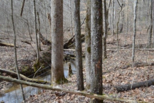 0 Boles Road, Hilham, TN 38568