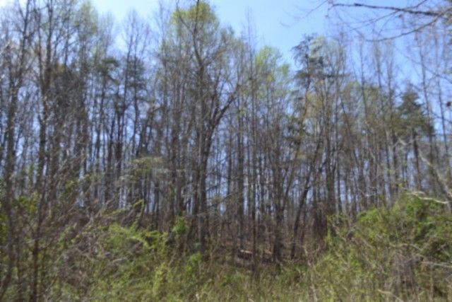 0 Boles Road, Hilham, TN 38568