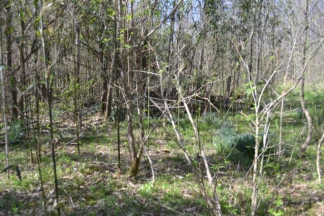 0 Boles Road, Hilham, TN 38568