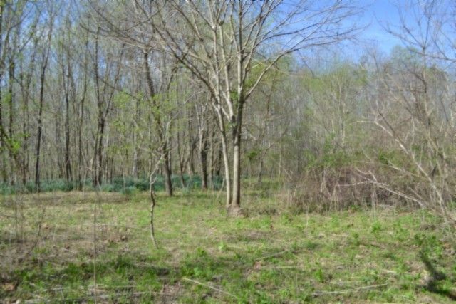 0 Boles Road, Hilham, TN 38568