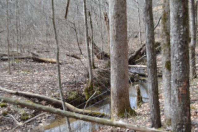 0 Boles Road, Hilham, TN 38568