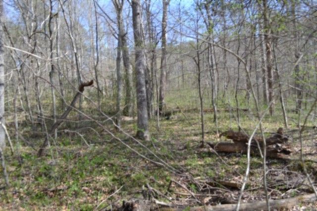 0 Boles Road, Hilham, TN 38568