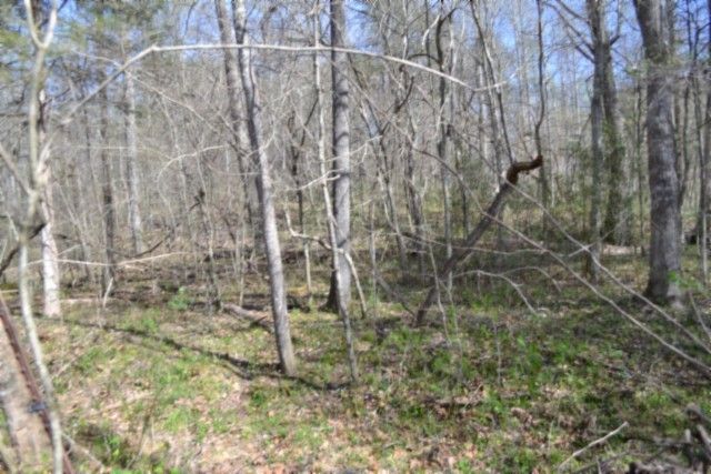 0 Boles Road, Hilham, TN 38568