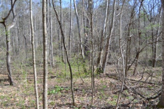 0 Boles Road, Hilham, TN 38568