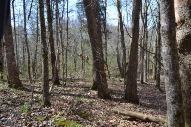 0 Boles Road, Hilham, TN 38568