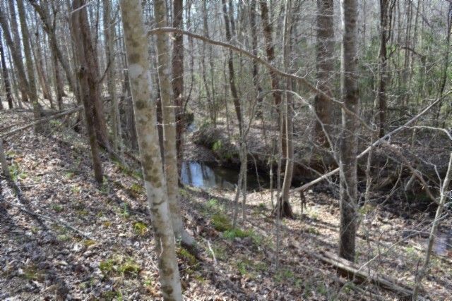 0 Boles Road, Hilham, TN 38568