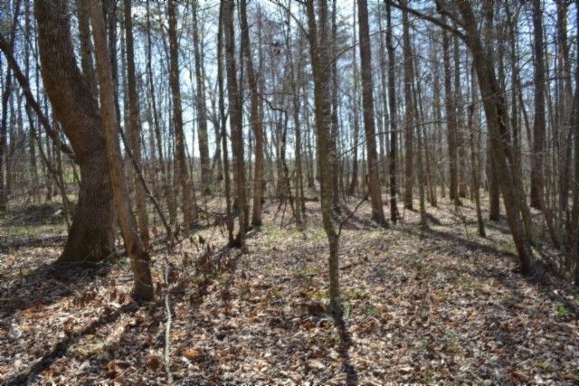 0 Boles Road, Hilham, TN 38568