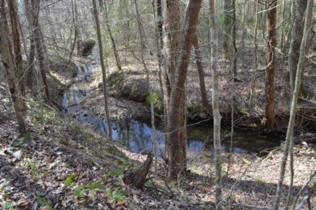0 Boles Road, Hilham, TN 38568