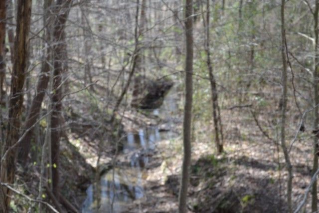 0 Boles Road, Hilham, TN 38568