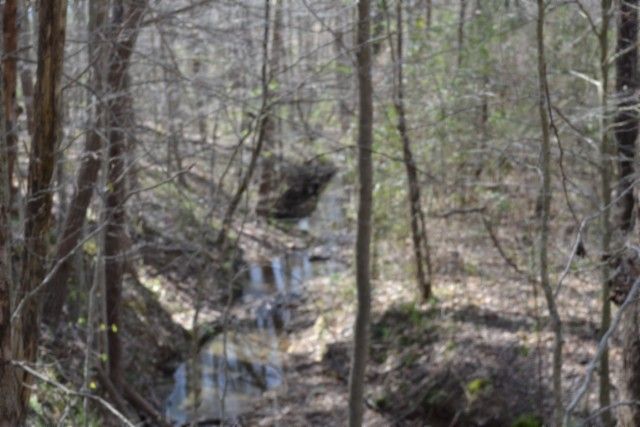 0 Boles Road, Hilham, TN 38568