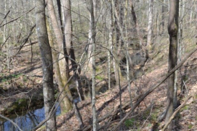0 Boles Road, Hilham, TN 38568