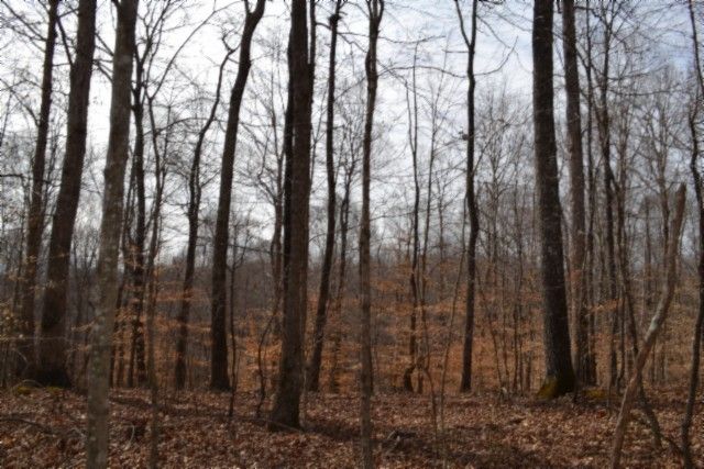 0 Boles Road, Hilham, TN 38568