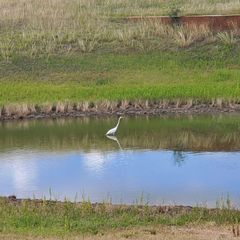 1115 County Road 414, Spicewood, TX 78669