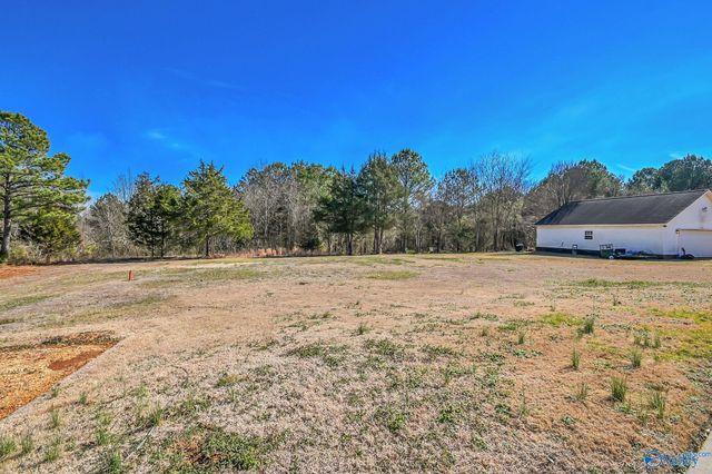 125 Stoney Point Drive, Harvest, AL 35749