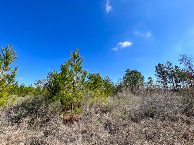 01 Wallace, Huntsville, TX 77320