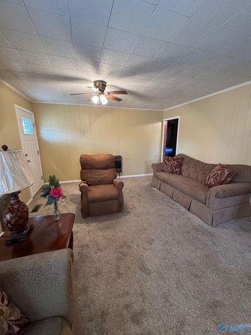 16168 Highway 75, Henagar, AL 35978