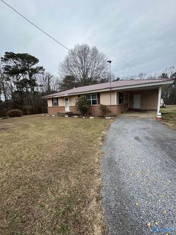 16168 Highway 75, Henagar, AL 35978