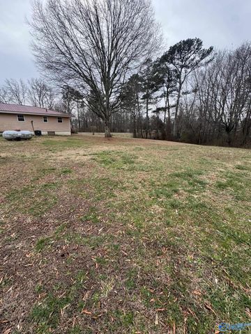 16168 Highway 75, Henagar, AL 35978