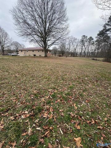 16168 Highway 75, Henagar, AL 35978