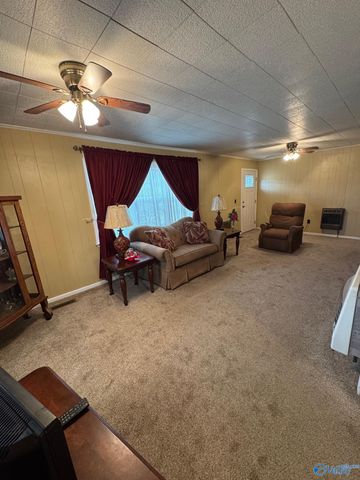 16168 Highway 75, Henagar, AL 35978