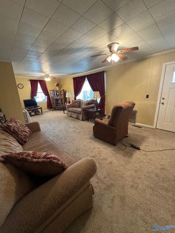 16168 Highway 75, Henagar, AL 35978