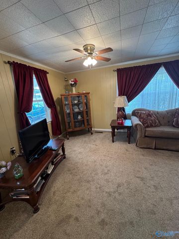 16168 Highway 75, Henagar, AL 35978