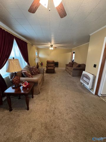 16168 Highway 75, Henagar, AL 35978