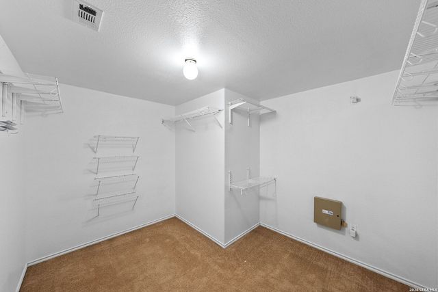 25615 Velvet Rose, San Antonio, TX 78260