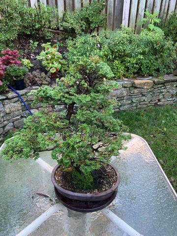 2612 Beverly BLVD, Roanoke, VA 24015