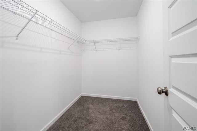2597 Allanna, Tuscaloosa, AL 35405