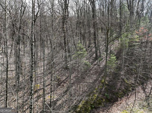 65 St Andrews Way, Ellijay, GA 30536