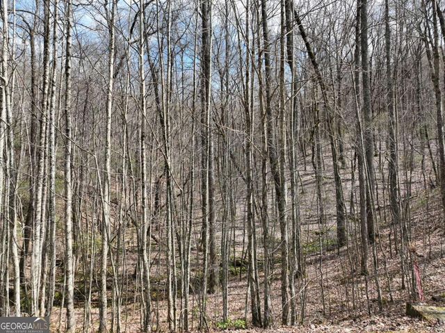 65 St Andrews Way, Ellijay, GA 30536