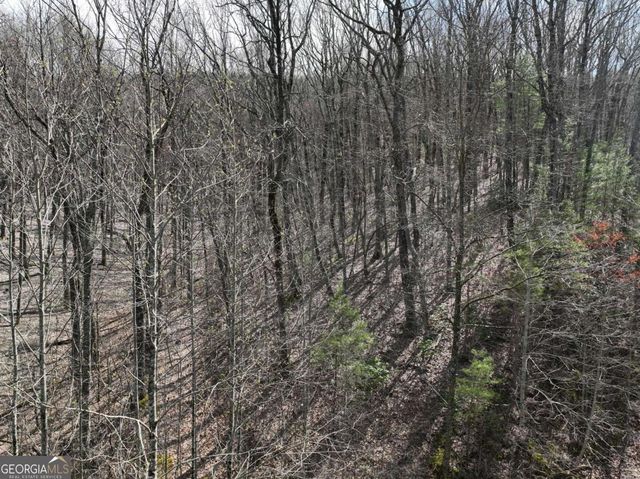 65 St Andrews Way, Ellijay, GA 30536